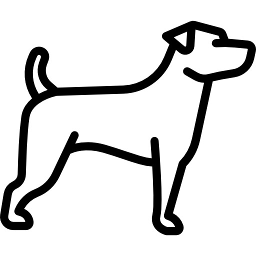 Köpekler